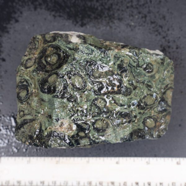 Kambaba Jasper Rough