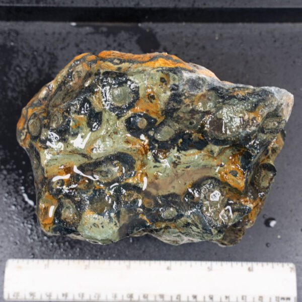 Kambaba Jasper Rough