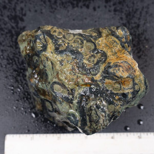 Kambaba Jasper Rough