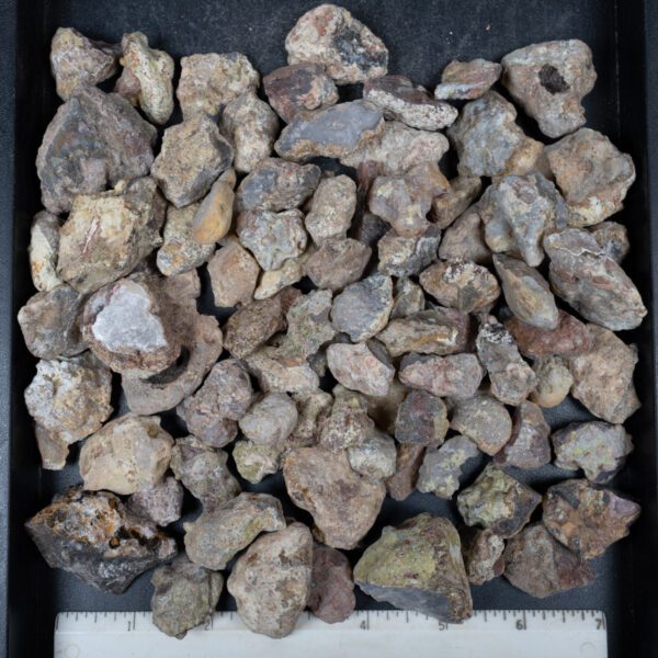 Laguna Agate Nodules