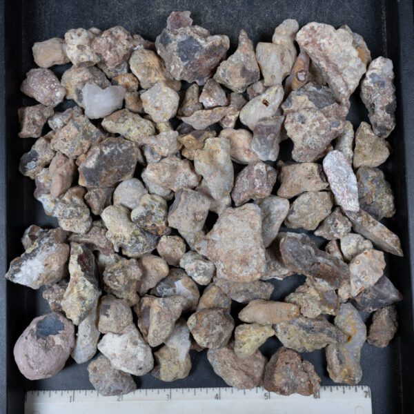 Laguna Agate Nodules
