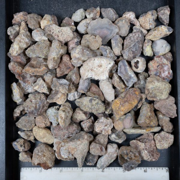 Laguna Agate Nodules