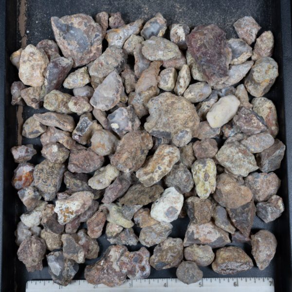 Laguna Agate Nodules