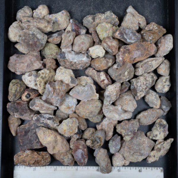 Laguna Agate Nodules