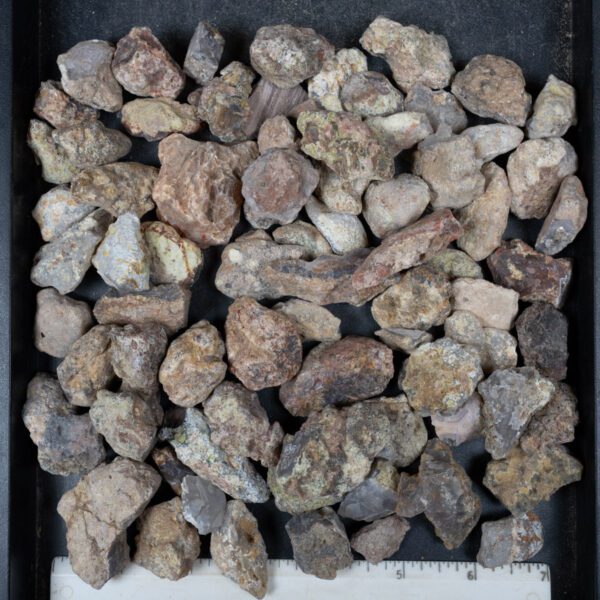 Laguna Agate Nodules