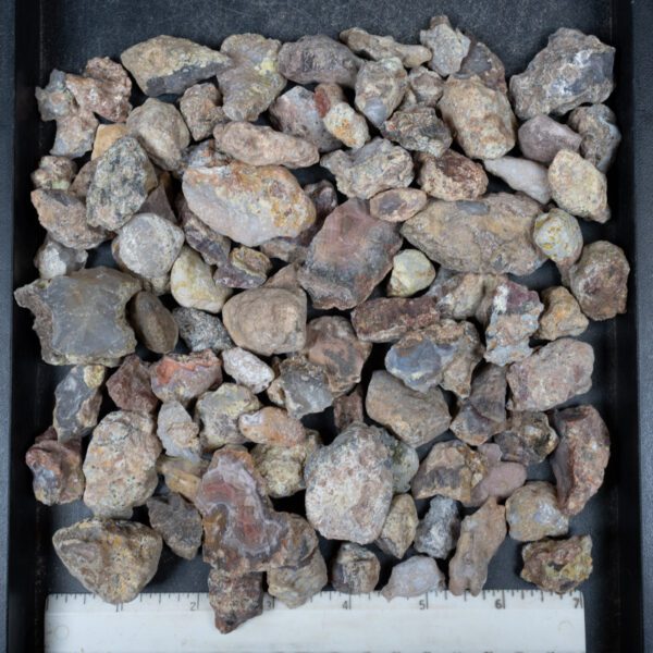 Laguna Agate Nodules