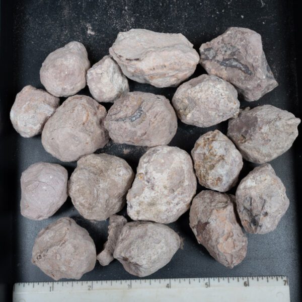 Laguna-like Thunderegg Nodules