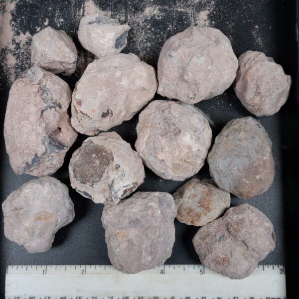 Laguna-like Thunderegg Nodules
