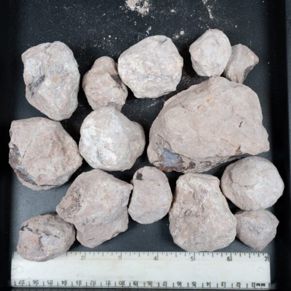 Laguna-like Thunderegg Nodules