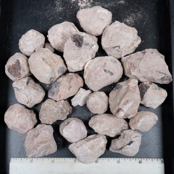 Laguna-like Thunderegg Nodules
