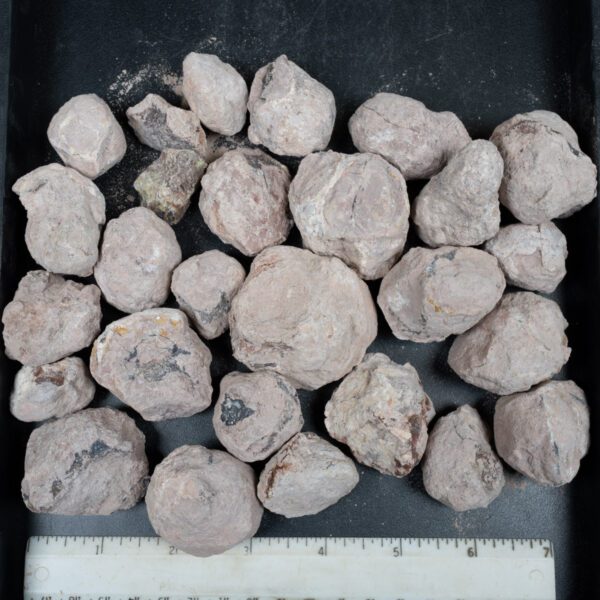 Laguna-like Thunderegg Nodules