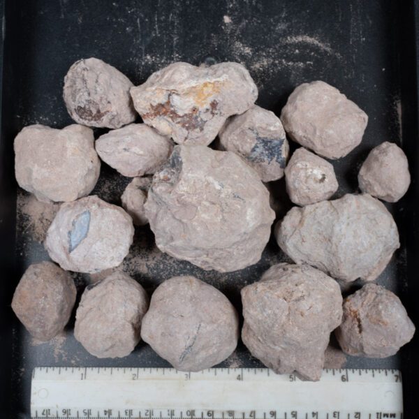 Laguna-like Thunderegg Nodules