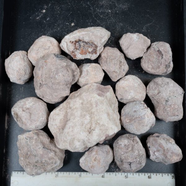 Laguna-like Thunderegg Nodules