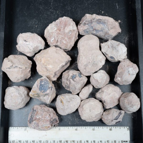Laguna-like Thunderegg Nodules