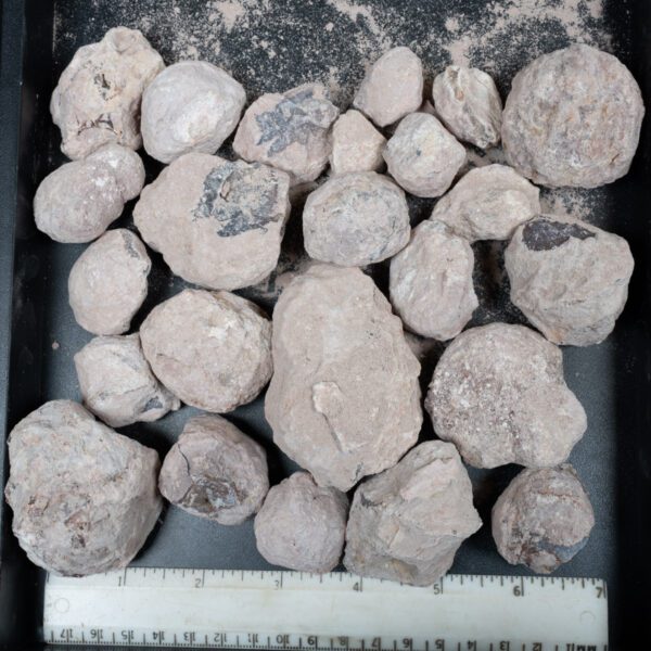 Laguna-like Thunderegg Nodules
