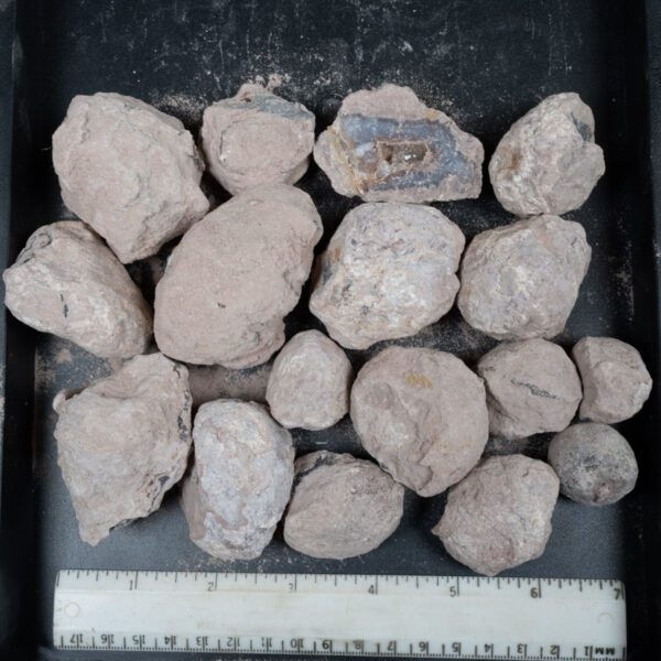 Laguna-like Thunderegg Nodules