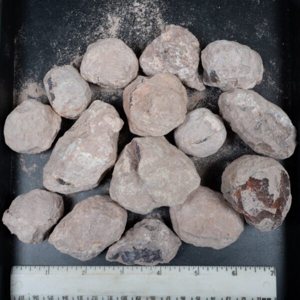 Laguna-like Thunderegg Nodules