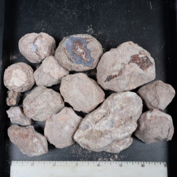 Laguna-like Thunderegg Nodules