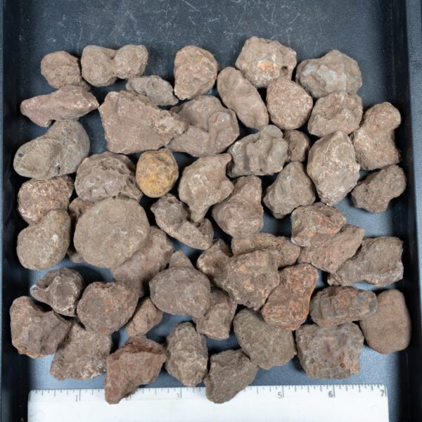 Malawi Agate Nodules