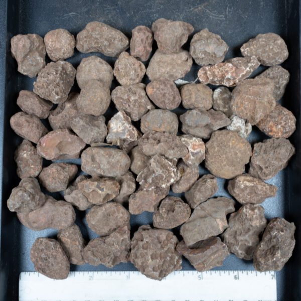 Malawi Agate Nodules