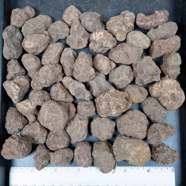 Malawi Agate Nodules
