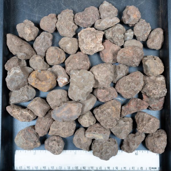 Malawi Agate Nodules