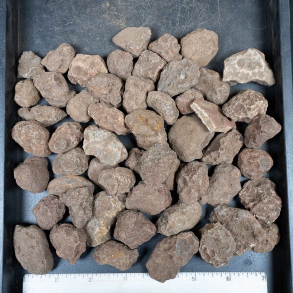 Malawi Agate Nodules