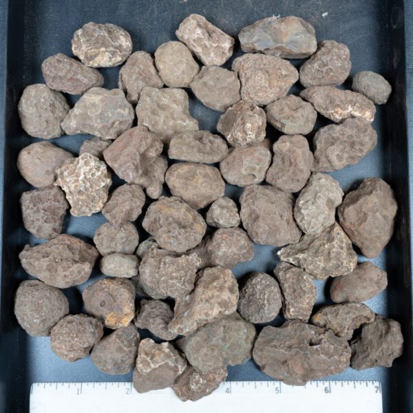 Malawi Agate Nodules