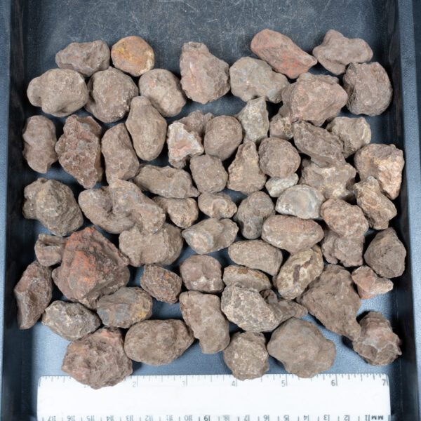 Malawi Agate Nodules