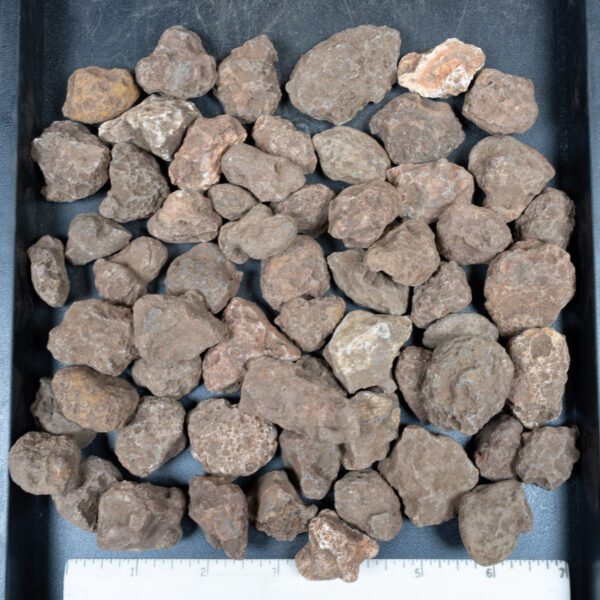 Malawi Agate Nodules