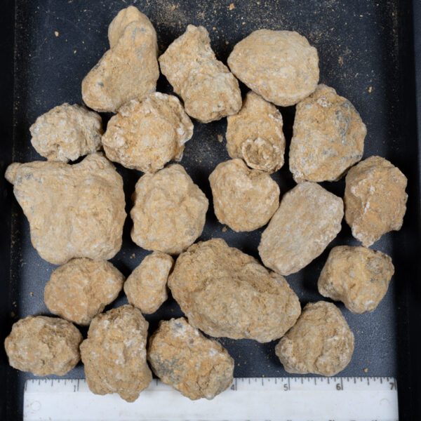 Mexican Geodes