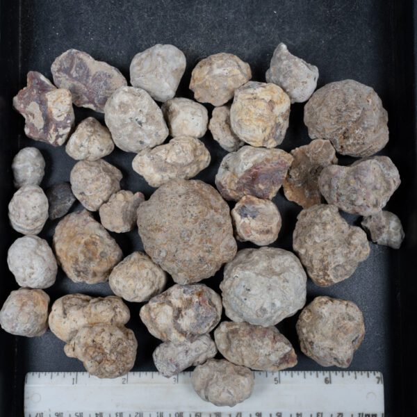 Mexican Red Hot Agate (Berrendo) Nodules