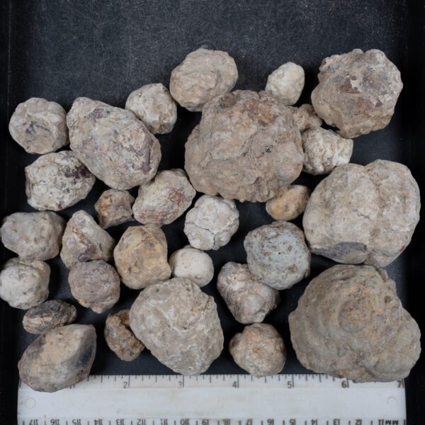 Mexican Red Hot Agate (Berrendo) Nodules