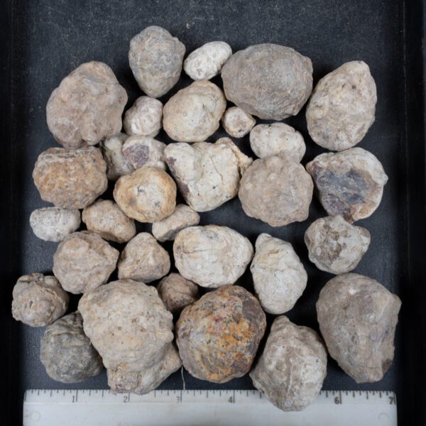 Mexican Red Hot Agate (Berrendo) Nodules