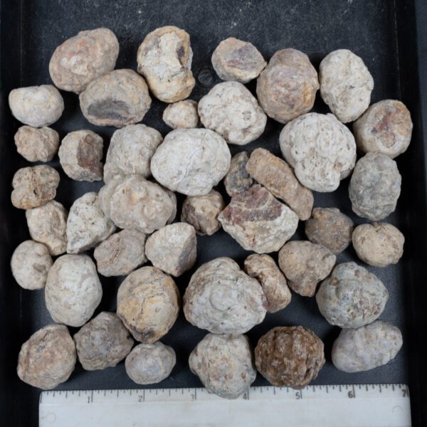 Mexican Red Hot Agate (Berrendo) Nodules
