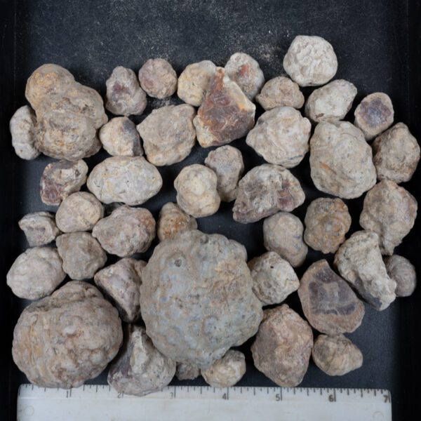 Mexican Red Hot Agate (Berrendo) Nodules