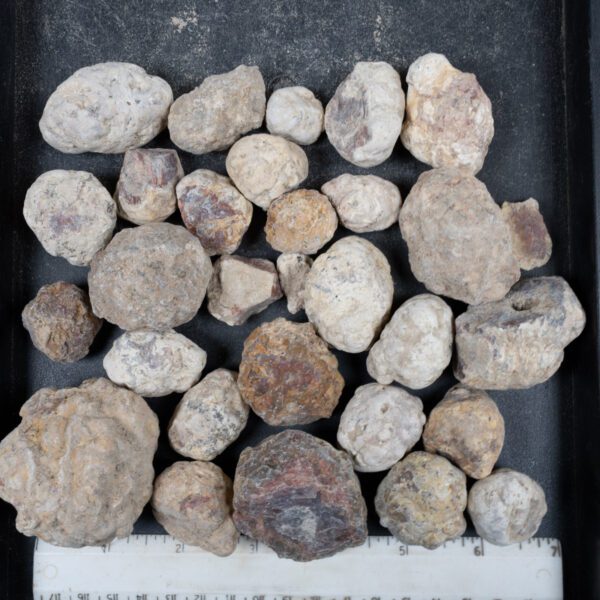 Mexican Red Hot Agate (Berrendo) Nodules
