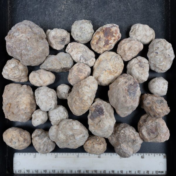 Mexican Red Hot Agate (Berrendo) Nodules