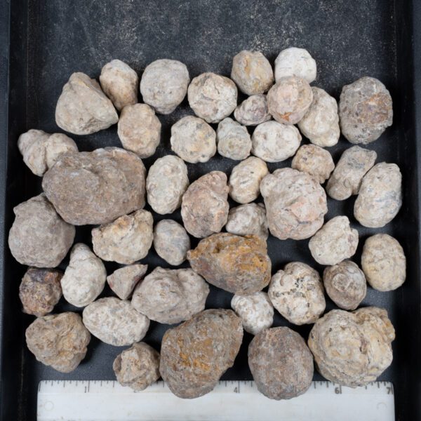 Mexican Red Hot Agate (Berrendo) Nodules