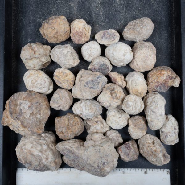 Mexican Red Hot Agate (Berrendo) Nodules