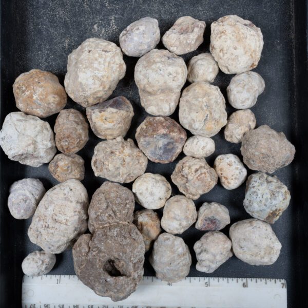 Mexican Red Hot Agate (Berrendo) Nodules