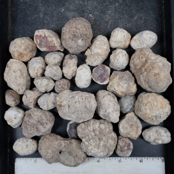 Mexican Red Hot Agate (Berrendo) Nodules