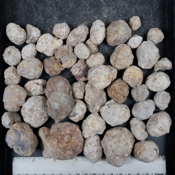 Mexican Red Hot Agate (Berrendo) Nodules