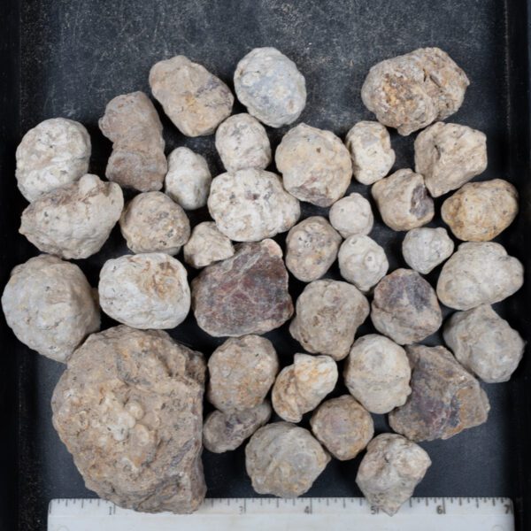 Mexican Red Hot Agate (Berrendo) Nodules
