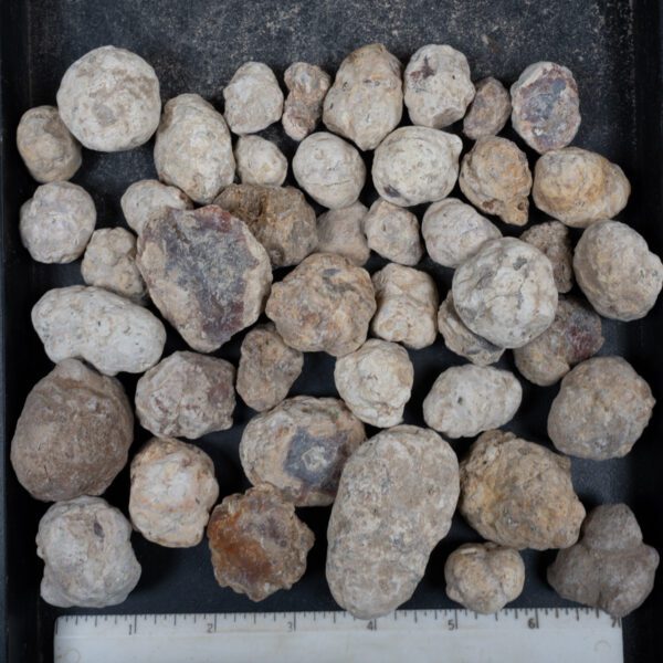 Mexican Red Hot Agate (Berrendo) Nodules