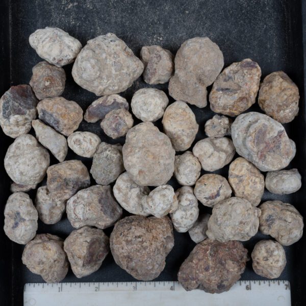 Mexican Red Hot Agate (Berrendo) Nodules