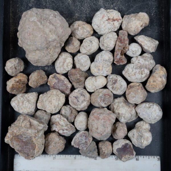 Mexican Red Hot Agate (Berrendo) Nodules