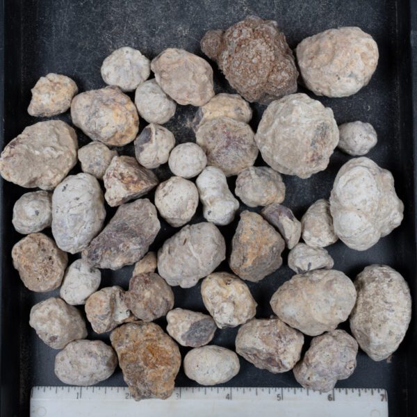 Mexican Red Hot Agate (Berrendo) Nodules