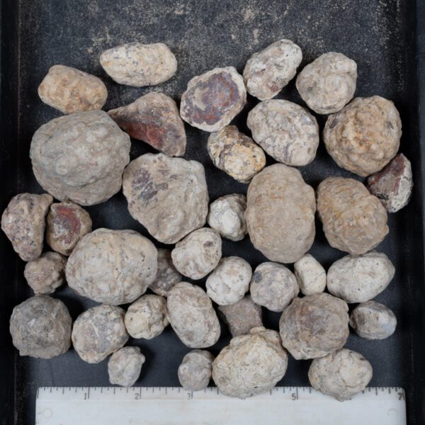 Mexican Red Hot Agate (Berrendo) Nodules