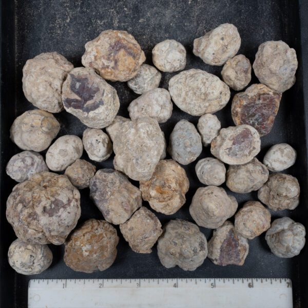 Mexican Red Hot Agate (Berrendo) Nodules